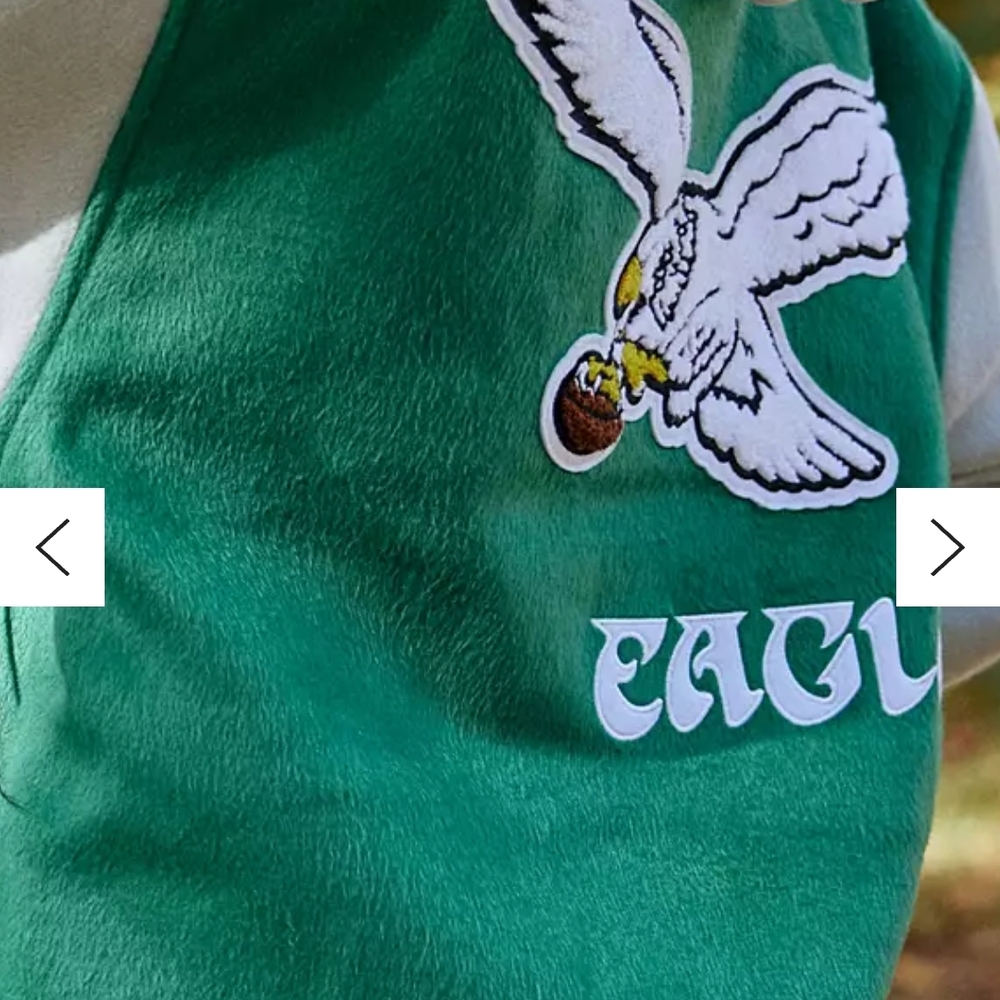 Mitchell & Ness Green and Gray Philadelphia Eagles Varsity Jacket - Picture 10 of 15